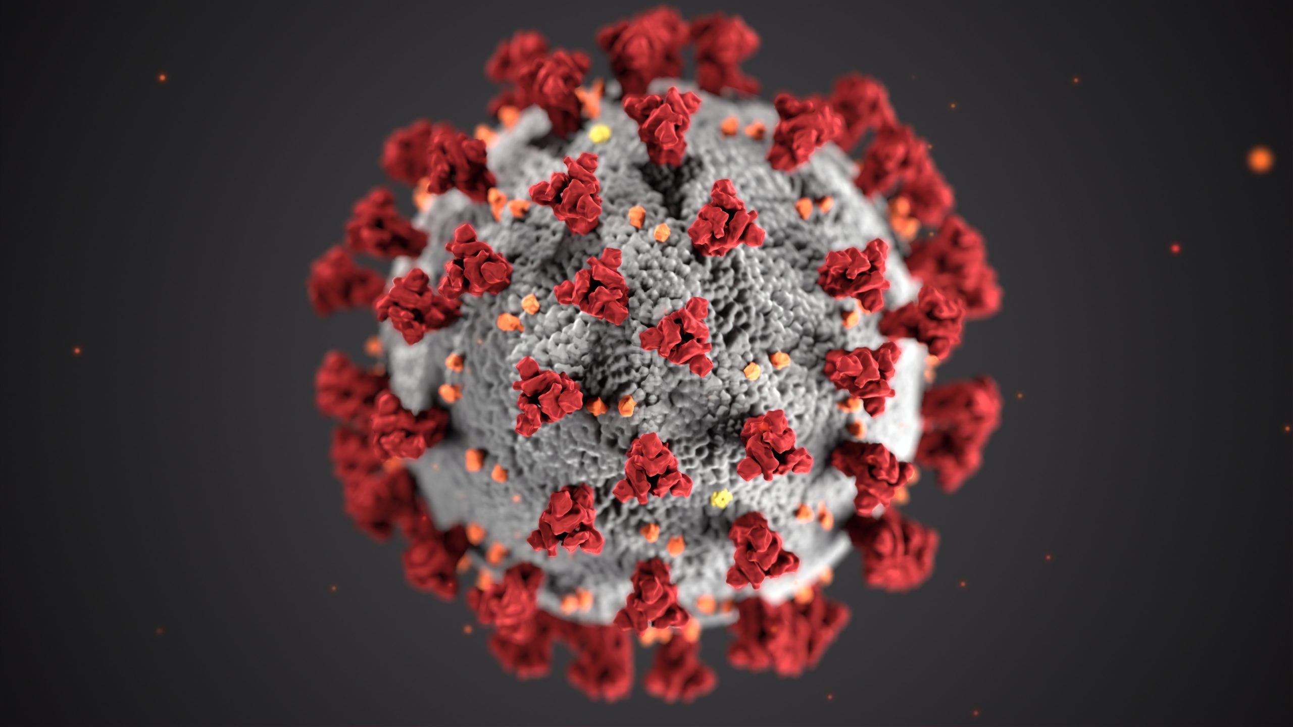 Information zum Corona-Virus
